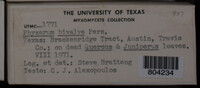 Image Associated With the Occurence